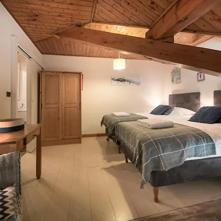 Spacieux Au Centre De Morzine, Proche Telesieges Et Commerces - Fr-1-627-31 *